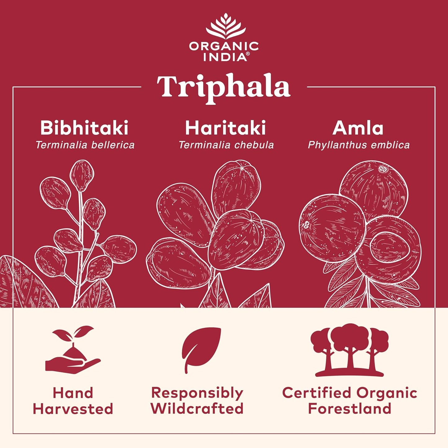 Organic India Triphala Digestion & Colon Cleanse Support, 180 Vegan Capsules