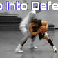 Point Guard Elite Training System + Extreme Dribbling Bonus