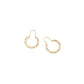 Tango Twist Earrings