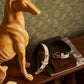 Prairie Paws Studded Hairon Dog Collar in Ash & Ivory