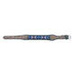 Turquoise Blossom Western Dog Collar in Brown