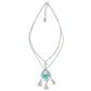Newton Necklace