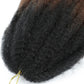 18" Marley Twist Braiding Hair | Crochet Braids | Afro Twist Kinky Hair Extensions | Ombre Colors | 30 Strands/Pack