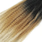 18" Marley Twist Braiding Hair | Crochet Braids | Afro Twist Kinky Hair Extensions | Ombre Colors | 30 Strands/Pack