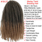 18" Marley Twist Braiding Hair | Crochet Braids | Afro Twist Kinky Hair Extensions | Ombre Colors | 30 Strands/Pack