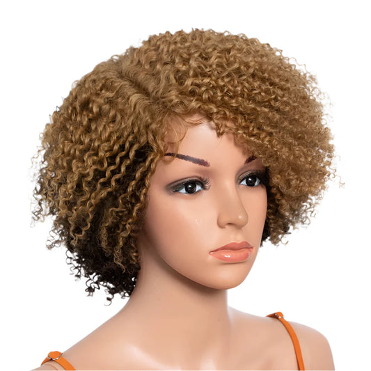 Ombre Honey 4/27 Afro Kinky Curly Bob Wig | Short Human Hair Lace Wig with Baby Hair
