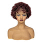 Burgundy Afro Curly Braids Bob Wig | 13x6 Lace | Baby Hair | Bouncy Curls