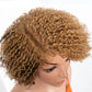Ombre Honey 4/27 Afro Kinky Curly Bob Wig | Short Human Hair Lace Wig with Baby Hair