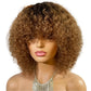 Highlight Honey Blonde Jerry Curly Pixie Bob Wig with Bangs | Full Machine Made Human Hair