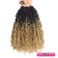Pre-looped Yanky Twist Crochet Hair | 8/10/12 Inch Passion Twist Braids