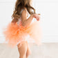 Tonal Rainbow Tank Tutu Leotard