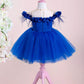 Violet Sax Blue Party Dress