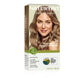 Naturtint 8N Wheat Germ Blonde Permanent Hair Color - Vegan, Ammonia-Free, 5.28 oz (Pack of 3)