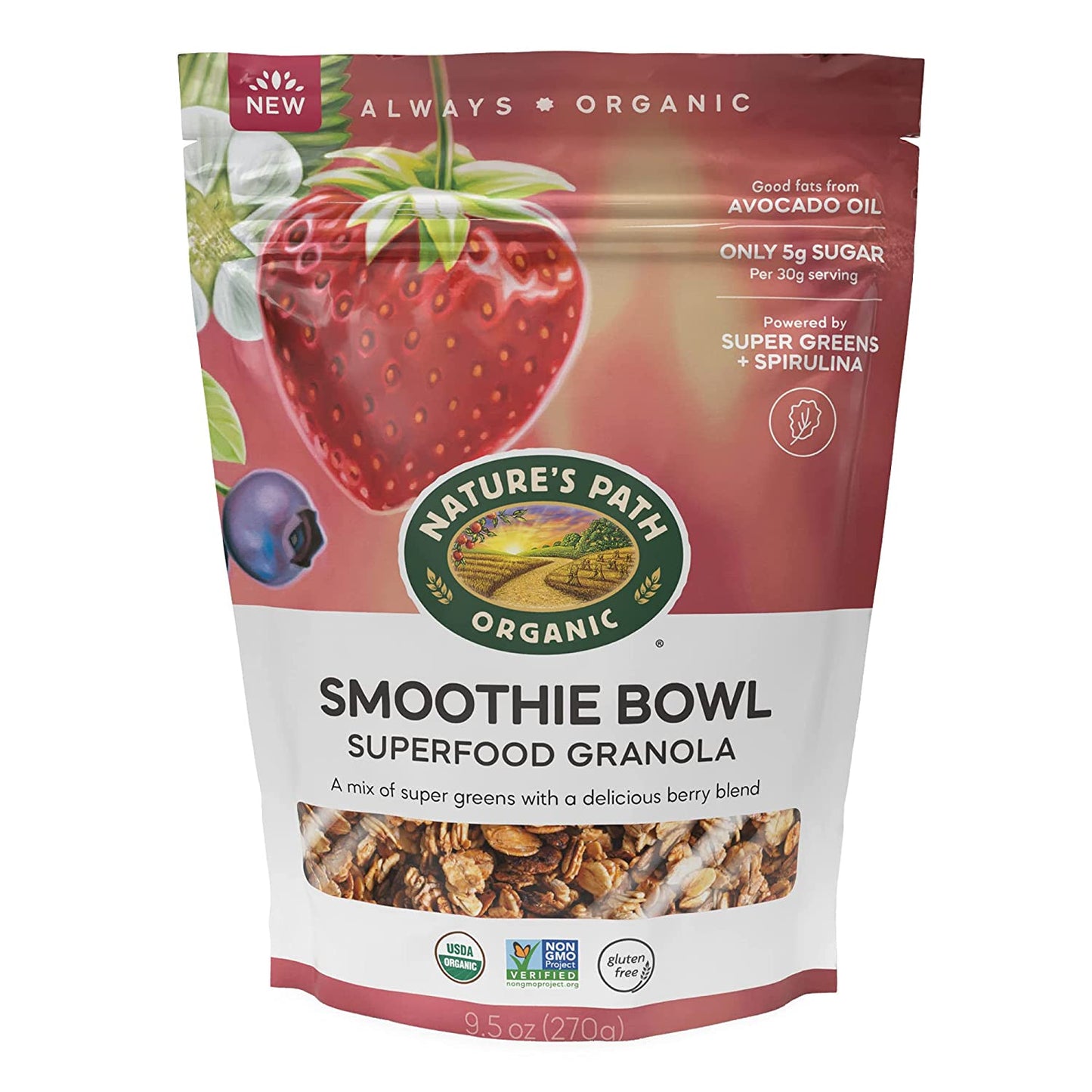 Nature's Path Granola Smoothie Blend, 9.5 Oz (Pack of 6)