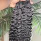 Burmese Curly