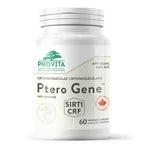 Provitamin - Ptherogenic Gene - Essential Amino Acid Of 1-60 Capsule