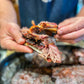Grill Master Collection - 4 Pack