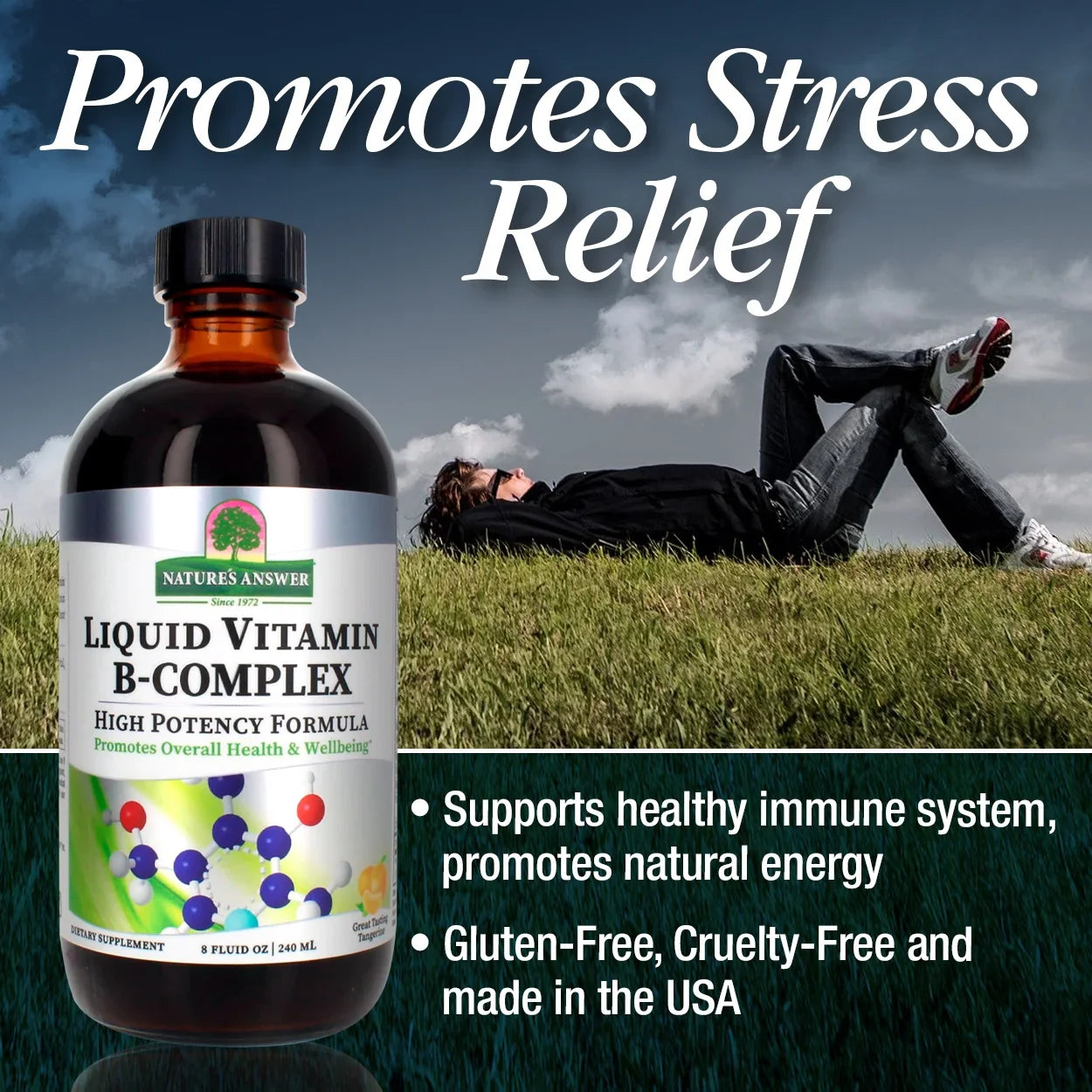 Nature's Answer Liquid Vitamin B-Complex, 16 fl oz