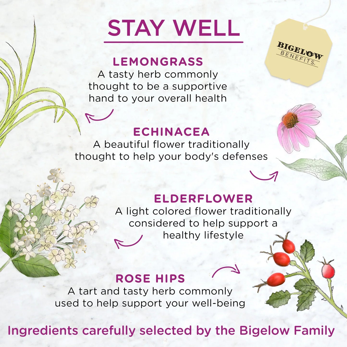 Bigelow Lemon Echinacea Stay Well Herbal Tea, 108 Count (Pack of 6)