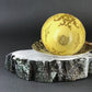 Vintage Royal Sealy Japan Lusterware Teacup and Saucer - Yellow & Gold Iridescent MCM