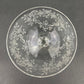 Fostoria Low Sherbet Glasses.  Etched Meadow Rose Motif.  Set of Ten Vintage Wine or Dessert Glasses.