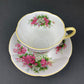 Vintage Royal Albert Cup and Saucer - Blossom Time Series, Hawthorn