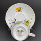 Duchess Fine Bone China Tea Cup and Saucer, Autumn Motif, Made in England