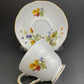 Duchess Fine Bone China Tea Cup and Saucer, Autumn Motif, Made in England