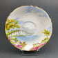 Vintage Royal Vale Tea Cup and Saucer: English Cottage Garden Motif