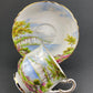 Vintage Royal Vale Tea Cup and Saucer: English Cottage Garden Motif