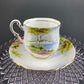 Vintage Royal Vale Tea Cup and Saucer: English Cottage Garden Motif