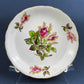 Vintage Royal Chelsey Moss Rose Tea Cup and Saucer, English Bone China