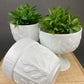 Milk Glass Oak Leaf Design Bowls. Set of Three Differently Shaped Vases. White Herb Planters.