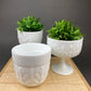 Milk Glass Oak Leaf Design Bowls. Set of Three Differently Shaped Vases. White Herb Planters.