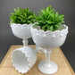 Milk Glass Wheat Design Vase and Planters. Set of Three Differently Shaped Vases. White Herb Planters. Home Decor. Window Sill Garden.