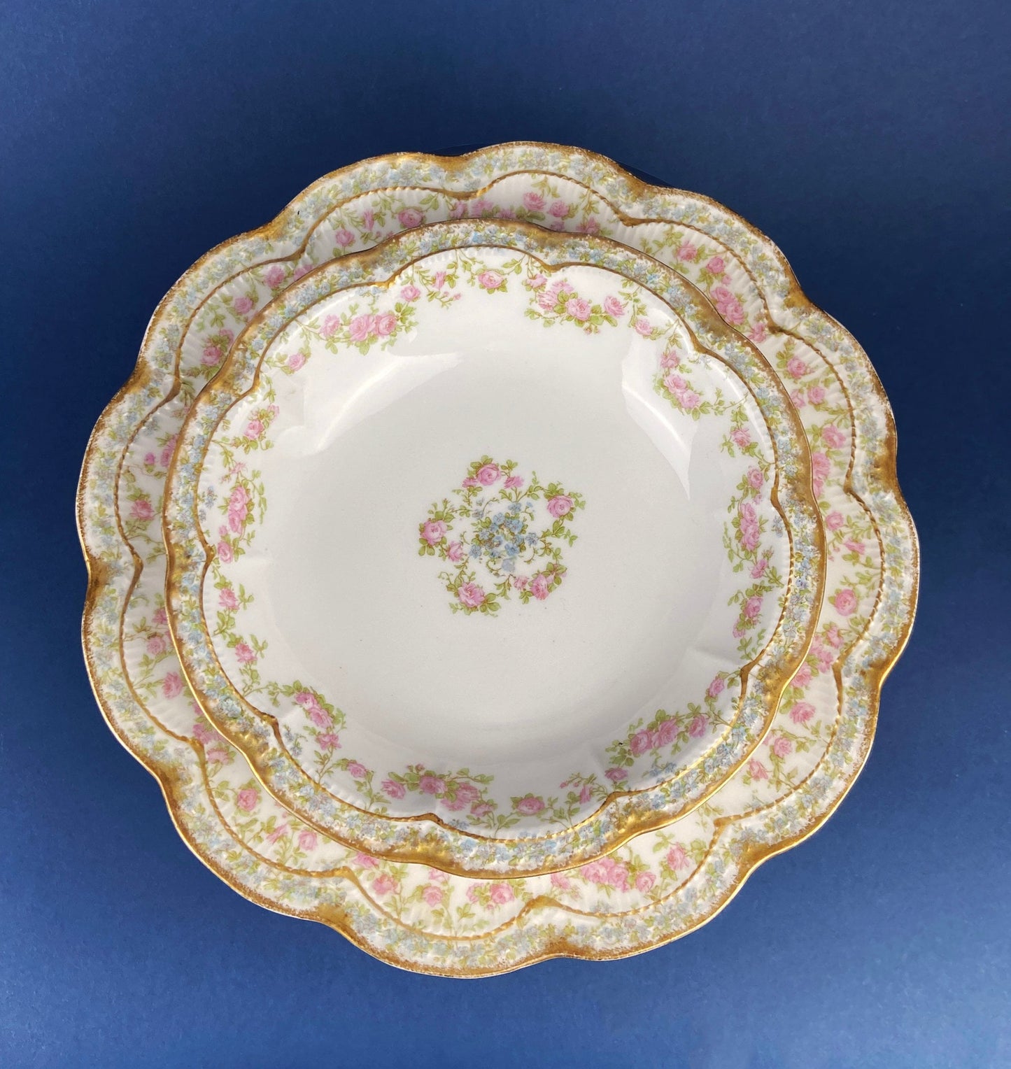 Antique Warwick Salad Plates: Hand-Painted Cottage Rose, Set of 6
