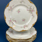 Antique Warwick Salad Plates: Hand-Painted Cottage Rose, Set of 6