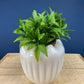Milk Glass Planter or Vase. Vintage White Flower Pot with Ribbed Pattern and Pinched Rim. Window Sill Herbal Garden.