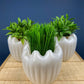 Milk Glass Planters or Vases. Vintage White Flower Pots with Ribbed Patterns and Pinched Rims. Set of Three. Window Sill Herbal Garden.