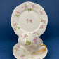 Antique Limoges Tea Cup and Saucer. Hand-Painted Porcelain by Haviland, France. Violet Clusters Motif. Highly Collectible.