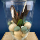 Large Lidded Apothecary with Eggs and Feathers. Alternative Spring/Easter Decor.  Footed, Glass Storage Jar. Table Centerpiece. Shabby Chic.