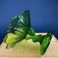 Green Glass Compote Shaped Like a Tree. Vintage Footed Serving Dish with Stem Shaped like a Tree Trunk. Fruit Stand. Table Centerpiece.
