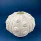 Antique Belleek Cup and Saucer, Sea Shell Pattern Porcelain Tea Set