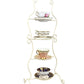 Royal Albert Old Country Roses Tea Cup and Saucer Set, England