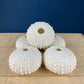 Imitation Coral Sculpture for Coastal Themed Home Rock Garden Aquarium. Vacation Property Tropical Display. Gift for Dad, Fisherman.