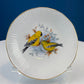 Vintage Cup and Saucer with Blue Birds. Queens's Fine Bone China. Birds of America. Pair of Kingfishers. Gift for Dad, Fisherman, Bird Lover