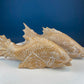 Imitation Coral Sculpture for Coastal Themed Home Rock Garden Aquarium. Vacation Property Tropical Display. Gift for Dad, Fisherman.