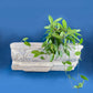 Faux Greek Roman Wall Hanging. Italian Mediterranean Style Home Shelving. Restaurant Retail Theater Wall Art. Styling Prop. Urethane Cornice