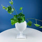 Green Majolica Ceramic Centerpiece Bowl with Gold Relief. Abigails Italy. Art Nouveau Flower Fern Jardiniere. Table Centerpiece. Dining Room Decor.