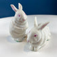 Family of White Porcelain Bunnies with Pink Ears & Eyes. 5 Small Figurines. Home Kids Room Decor. Easter Display. Gift for Him or Her.